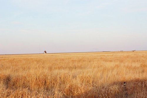 Property photo 41 - Kansas Land Auction - 960 Acres - 7 Farms in 3 Counties